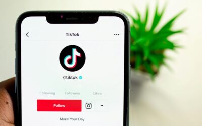 Does TikTok notify screenshots story?